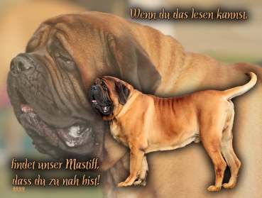 Hundewarnschild English Mastiff #2