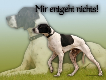 Hundewarnschild English Pointer #1