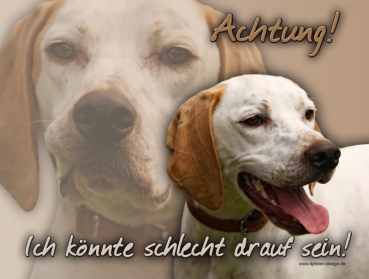 Hundewarnschild English Pointer #2