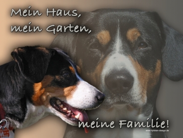 Hundewarnschild Entlebucher Sennenhund #1