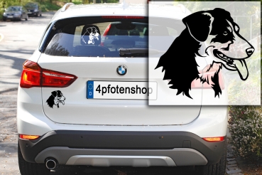 Autoaufkleber "Entlebucher" Kopf