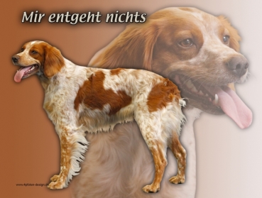 Hundewarnschild Epagneul Breton #1