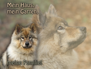 Hundewarnschild Eurasier #2