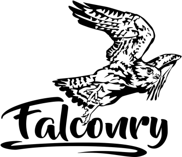 Aufkleber Falknerei (falconry) - Wanderfalke im Flug *für helle Hintergründe