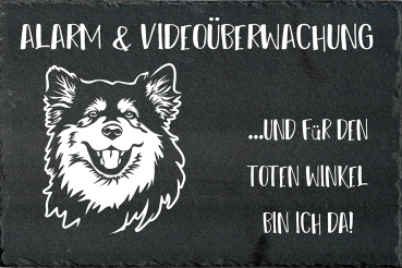 Schieferplatte Finnischer Lapphund (Suomenlapinkoira)