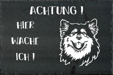 Schieferplatte Finnischer Lapphund (Suomenlapinkoira)