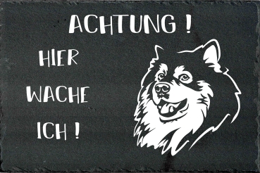 Schieferplatte Finnischer Lapphund (Suomenlapinkoira)