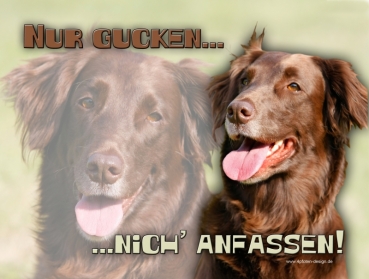 Hundewarnschild Flat-Coated Retriever #1