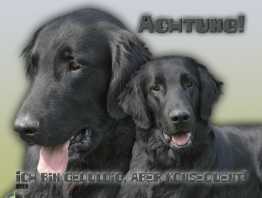 Hundewarnschild Flat-Coated Retriever #2