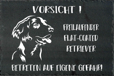 Schieferplatte Flat-Coated Retriever