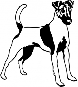 Autoaufkleber "Foxterrier (Glatthaar)" Kontur