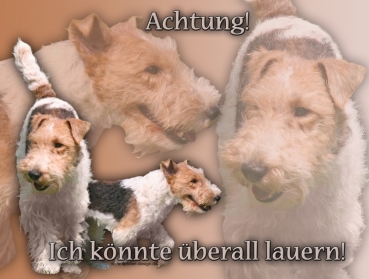 Hundewarnschild Foxterrier #2