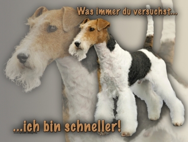 Hundewarnschild Foxterrier #4