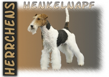 Fototasse Foxterrier Herrchen/Frauchen