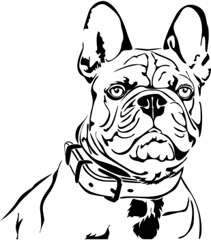 Autoaufkleber "Französische Bulldogge" Kopf