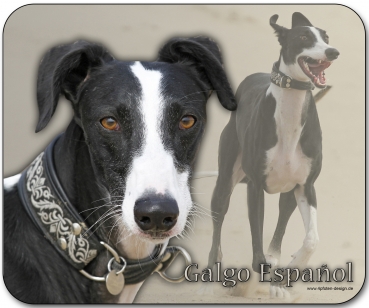 Mousepad Galgo español (Spanischer Windhund) #5