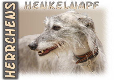 Fototasse Galgo (Spanischer Windhund) Herrchen/Frauchen