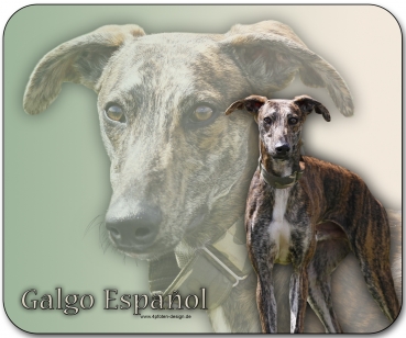 Mousepad Galgo español (Spanischer Windhund) #8
