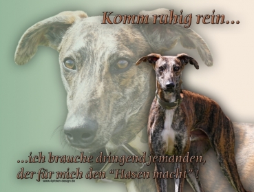 Hundewarnschild Galgo Español #10