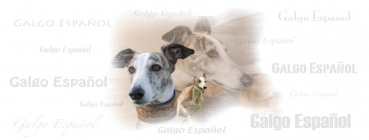 Fototasse Galgo (Spanischer Windhund) Designertasse #11