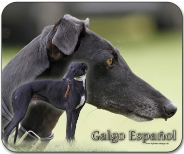 Mousepad Galgo español (Spanischer Windhund) #11