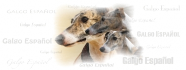 Fototasse Galgo (Spanischer Windhund) Designertasse #13