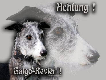 Hundewarnschild Galgo Español (Rauhaar) #14