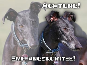 Hundewarnschild Galgo Español #15