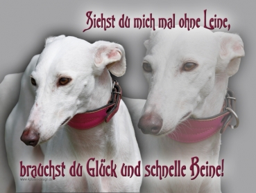 Hundewarnschild Galgo Español #16