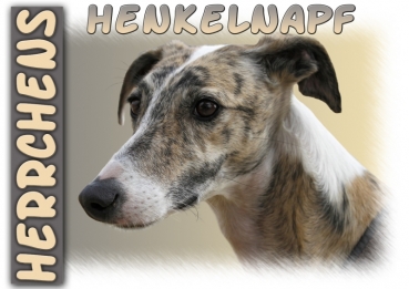 Fototasse Galgo (Spanischer Windhund) Herrchen/Frauchen