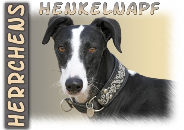 Fototasse Galgo (Spanischer Windhund) Herrchen/Frauchen