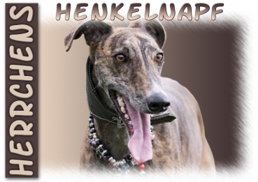 Fototasse Galgo (Spanischer Windhund) Herrchen/Frauchen