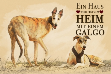 Nostalgieschild - Hundeschild im Retrostil Motiv: Galgo español (Spanischer Windhund) #1