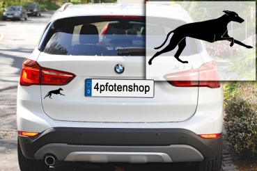 Autoaufkleber Galgo rennend Silhouette