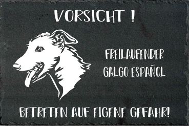 Schieferplatte Galgo (Rauhaar)