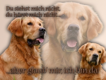 Hundewarnschild Golden Retriever #5