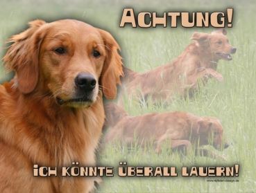 Hundewarnschild Golden Retriever #6