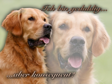 Hundewarnschild Golden Retriever #7