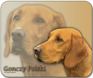 Mousepad Polnischer Laufhund (Gonczy Polski) #1