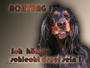 Hundewarnschild Gordon Setter #1