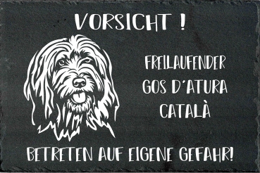 Schieferplatte Gos d'Atura Catala (Katalanischer Schäferhund)