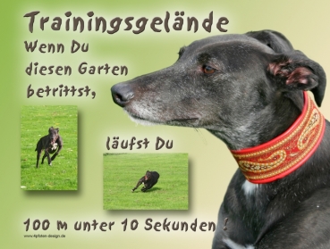 Hundewarnschild Greyhound #1