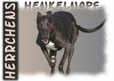 Fototasse Greyhound Herrchen/Frauchen