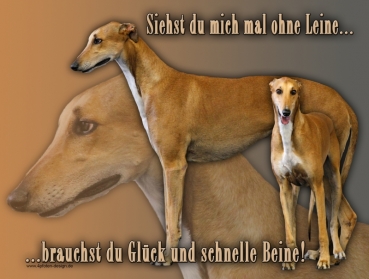 Hundewarnschild Greyhound #5