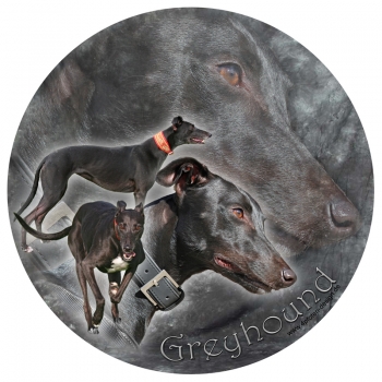 Aufkleber Greyhound01 rund