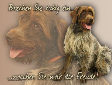 Hundewarnschild Griffon Korthals #1