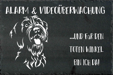 Schieferplatte Griffon Korthals