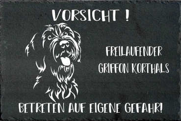 Preview: Schieferplatte Griffon Korthals