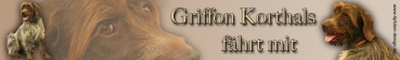 Aufkleber Griffon Korthals #1