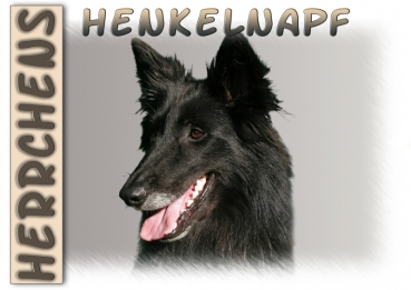 Fototasse Groenendael (Belgischer Schäferhund) Herrchen/Frauchen